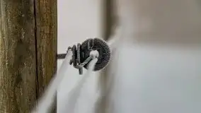 Poranne i zimowe mgły w okolicach Kruklanek - zdjęcie 10