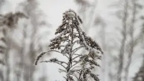 Poranne i zimowe mgły w okolicach Kruklanek - zdjęcie 17