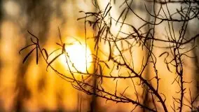 Zachód słońca nad jeziorem Kruklin, luty 2021 - zdjęcie 4