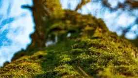 Zachód słońca nad jeziorem Kruklin, luty 2021 - zdjęcie 8