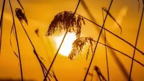 Zachód słońca nad jeziorem Kruklin, luty 2021 - zdjęcie 30