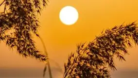 Zimowy zachód słońca nad jeziorem Śniardwy - zdjęcie 22