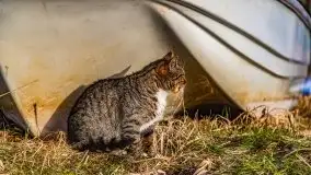 Zimowe Śniardwy i Okartowo, luty 2021 r. - zdjęcie 30