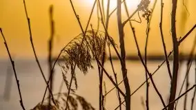 Zimowe Śniardwy i Okartowo, luty 2021 r. - zdjęcie 21