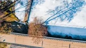 Szukamy wiosny - znajdujemy pierwsze oznaki - zdjęcie 15