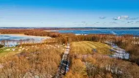 Szukamy wiosny - znajdujemy pierwsze oznaki - zdjęcie 2