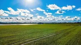 Szukamy wiosny - znajdujemy pierwsze oznaki - zdjęcie 32