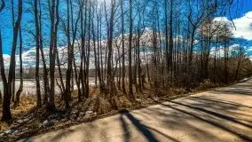 Szukamy wiosny - znajdujemy pierwsze oznaki - zdjęcie 40