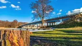 Szukamy wiosny - znajdujemy pierwsze oznaki - zdjęcie 9