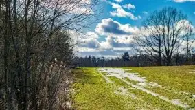 Szukamy wiosny - znajdujemy pierwsze oznaki - zdjęcie 6