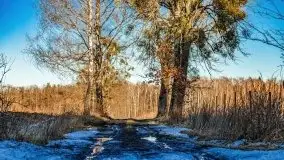 Szukamy wiosny - znajdujemy pierwsze oznaki - zdjęcie 42