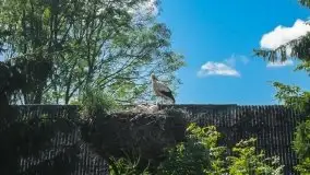 Jak nasz region widzą obcokrajowcy? - zobacz zdjęcia Johna Whelana - zdjęcie 39