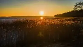 Marcowy zachód słońca nad jeziorem Dejguny - zdjęcie 56