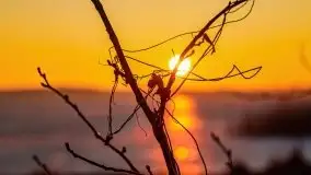 Marcowy zachód słońca nad jeziorem Dejguny - zdjęcie 51