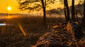 Marcowy zachód słońca nad jeziorem Dejguny - zdjęcie 39