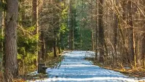 Przedwiośnie w lasach przy Wilkasach, marzec 2021 - zdjęcie 19