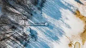 Las miejski w Giżycku, zimowa odsłona, luty 2021 r. - zdjęcie 3