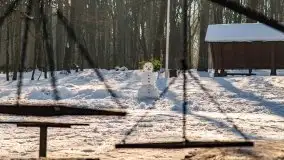 Las miejski w Giżycku, zimowa odsłona, luty 2021 r. - zdjęcie 46