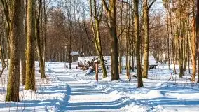 Las miejski w Giżycku, zimowa odsłona, luty 2021 r. - zdjęcie 10