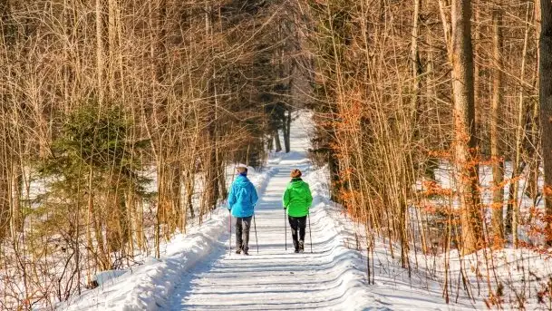 Las miejski w Giżycku, zimowa odsłona, luty 2021 r.