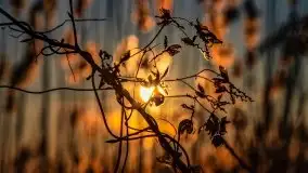 Marcowy zachód słońca nad jeziorem Kisajno - zdjęcie 3