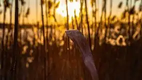 Marcowy zachód słońca nad jeziorem Kisajno - zdjęcie 36