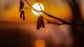 Marcowy zachód słońca nad jeziorem Kisajno - zdjęcie 35