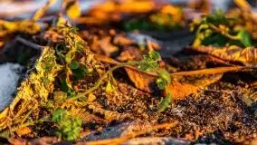 Marcowy zachód słońca nad jeziorem Kisajno - zdjęcie 18