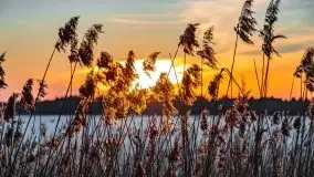 Marcowy zachód słońca nad jeziorem Kisajno - zdjęcie 22