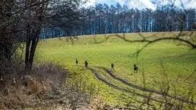 Mazury u progu wiosny, ujęcia z różnych miejsc - zdjęcie 5