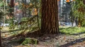 Mazury u progu wiosny, ujęcia z różnych miejsc - zdjęcie 52