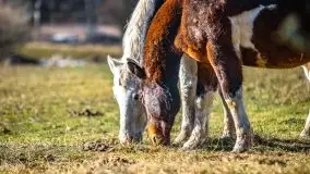 Mazury u progu wiosny, ujęcia z różnych miejsc - zdjęcie 37