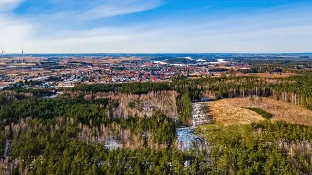 Przedwiośnie 2021 nad jeziorem Białym - zdjęcie 3