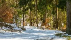 Przedwiośnie 2021 nad jeziorem Białym - zdjęcie 13