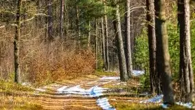 Przedwiośnie 2021 nad jeziorem Białym - zdjęcie 21