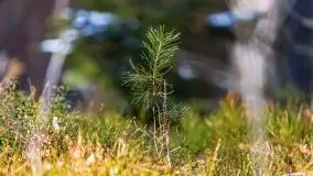 Przedwiośnie 2021 nad jeziorem Białym - zdjęcie 24