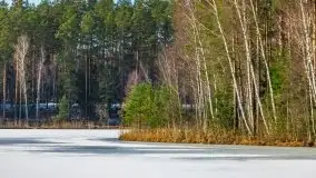 Przedwiośnie 2021 nad jeziorem Białym - zdjęcie 29