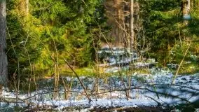 Przedwiośnie 2021 nad jeziorem Białym - zdjęcie 34