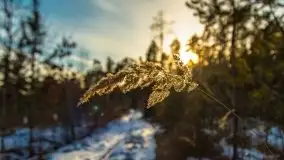 Przedwiośnie 2021 nad jeziorem Białym - zdjęcie 41