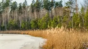 Przedwiośnie 2021 nad jeziorem Białym - zdjęcie 49