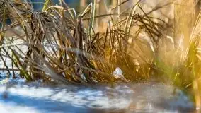 Przedwiośnie 2021 nad jeziorem Białym - zdjęcie 46