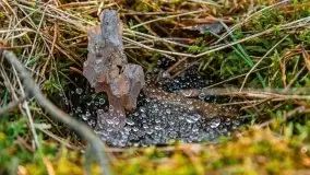 Efekt halo - zachód słońca nad jeziorem Dargin - zdjęcie 8