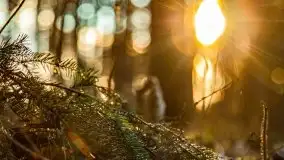 Efekt halo - zachód słońca nad jeziorem Dargin - zdjęcie 16