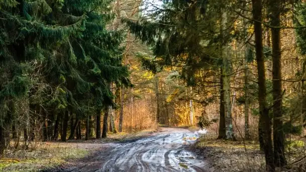 Efekt halo - zachód słońca nad jeziorem Dargin - zdjęcie 3