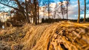 Efekt halo - zachód słońca nad jeziorem Dargin - zdjęcie 47