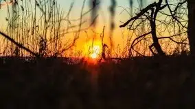 Efekt halo - zachód słońca nad jeziorem Dargin - zdjęcie 60