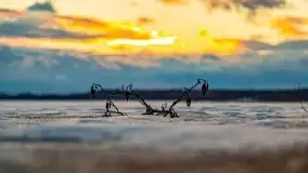 Ostatni zimowy zachód słońca, jezioro Niegocin 03.2021 - zdjęcie 16