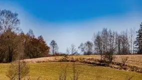 Wiosna w rezerwacie przyrody Borki, marzec 2021 - zdjęcie 13