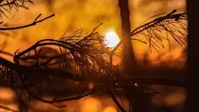 Zachód słońca nad jeziorem Gołdopiwo, od strony Przerwanek - zdjęcie 33