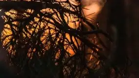 Zachód słońca nad jeziorem Gołdopiwo, od strony Przerwanek - zdjęcie 46